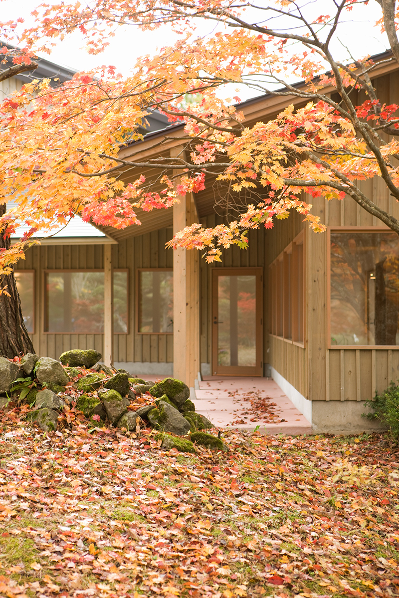 ホテリアアルトの新緑