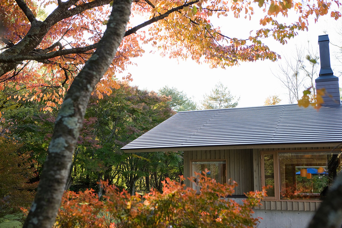 ホテリアアルトの沼と新緑
