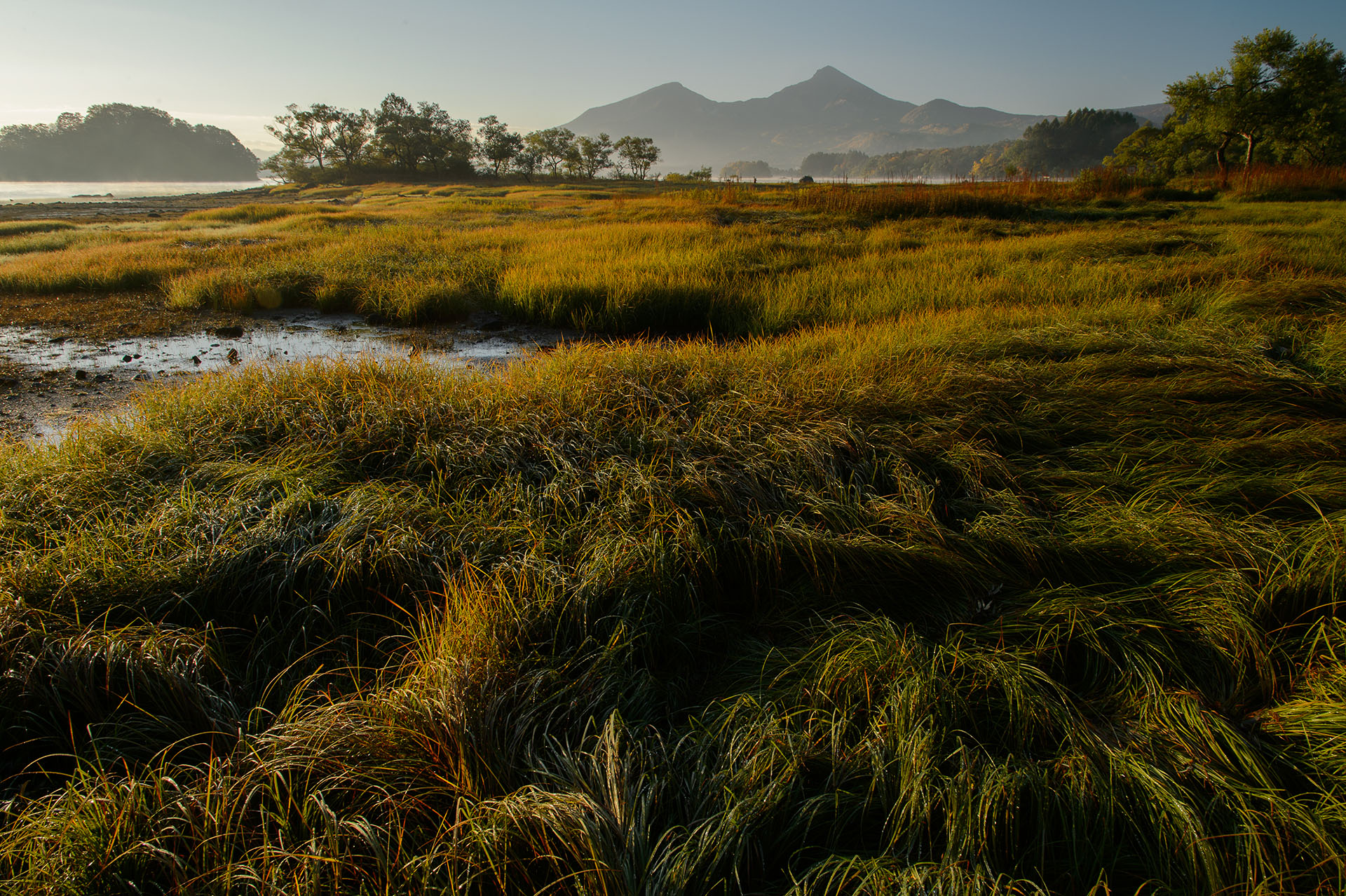 ホテリアアルトのプライベード沼の緑